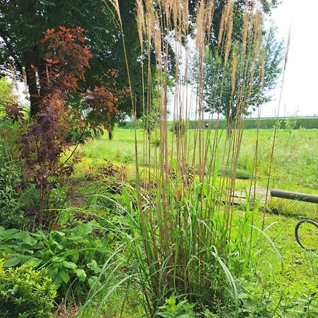 De Gaanderij Bed & Breakfast Barendrecht Eksteriør bilde
