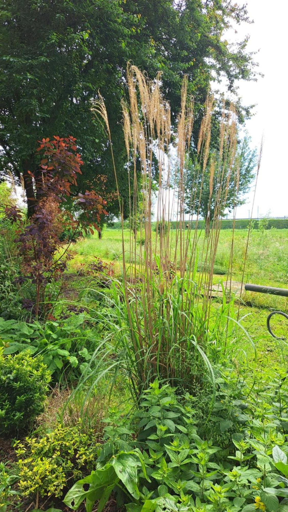 De Gaanderij Bed & Breakfast Barendrecht Eksteriør bilde